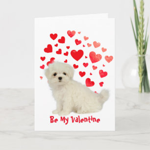 Cause I Woof Love You Maltese Dog Valentine Holiday Card