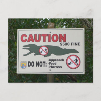Caution Alligators Sign Postcard