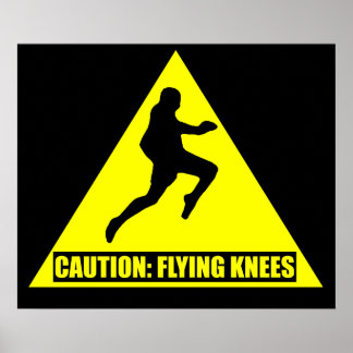 Caution: Flying Knees MMA/ Muay Thai Poster