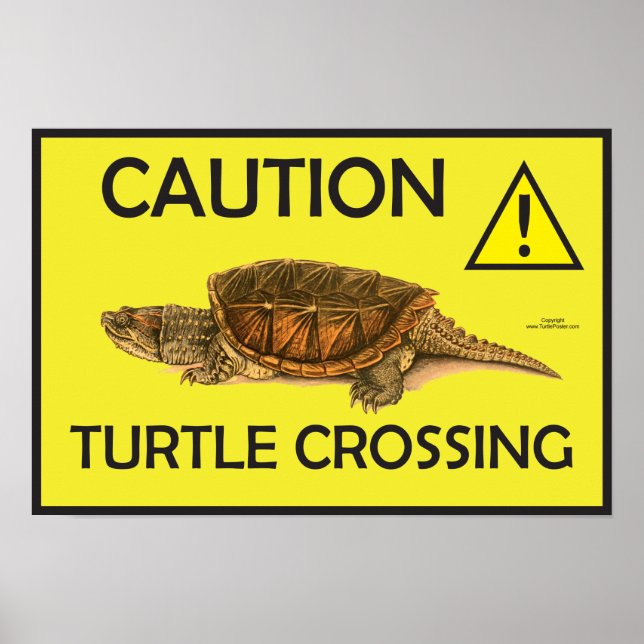 Caution Snapping Turtle Crossing Poster (Front)