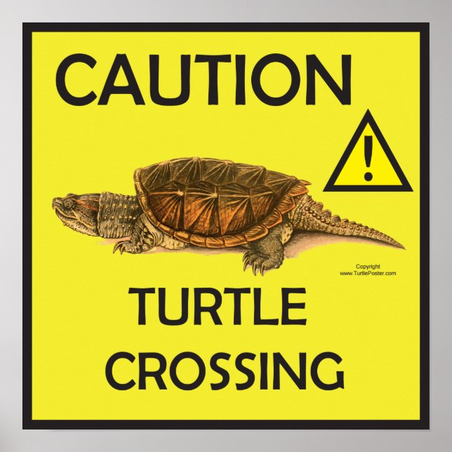 Caution Snapping  Turtle Crossing Poster (Front)