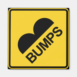 Caution Speed Bumps Funny Traffic Sign Magnet