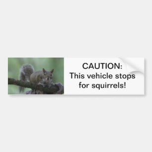 Caution: this vehicle stops for squirrels bumper sticker