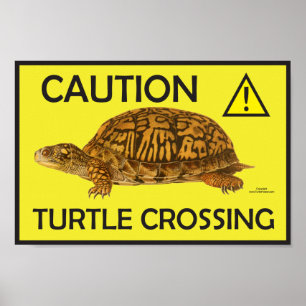 Caution Turtle Crossing Poster