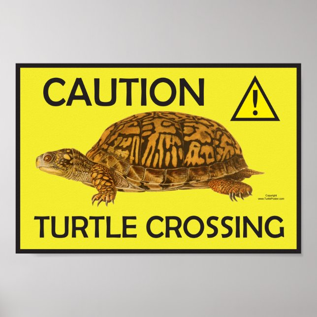 Caution Turtle Crossing Poster (Front)