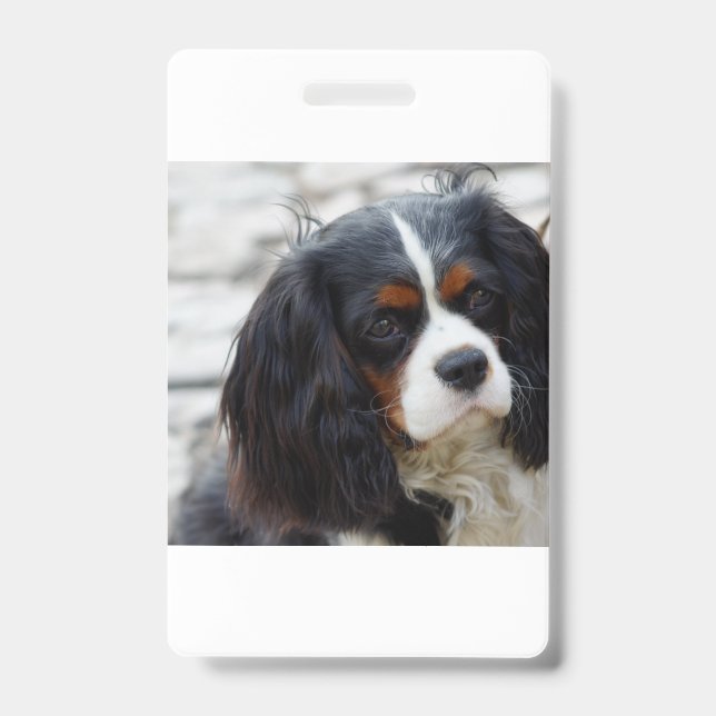 cav 2 ID badge (Front)