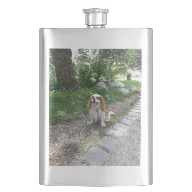 cav sitting hip flask (Front)