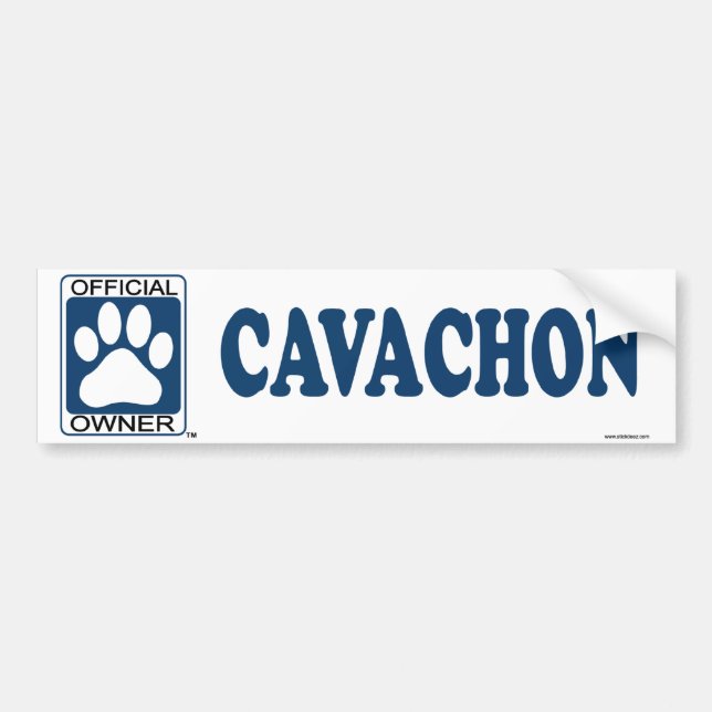 Cavachon Blue Bumper Sticker (Front)