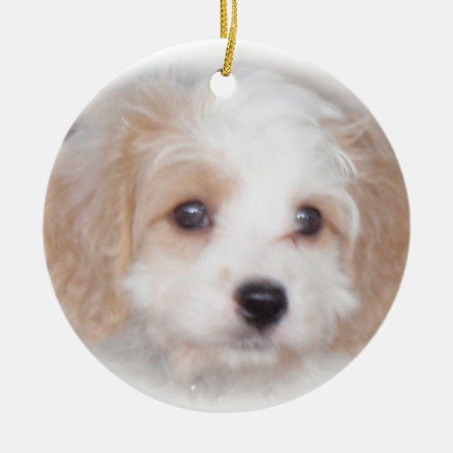 Cavachon Chase Ceramic Ornament (Front)