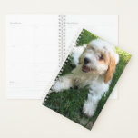 Cavachon Dog Photo Planner<br><div class="desc">Cavachon Photo Dog Planner is the perfect gift for the Cavachon lover or any dog lover. Keep the current pic or replace it with your Cavachon picture or any picture of your choice. Cute puppy gifts. Cavalier King Charles and the Bichon Frise makes beautiful puppies.</div>