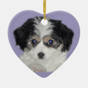 Cavachon Love Ceramic Ornament