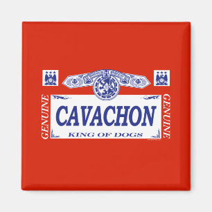 Cavachon Magnet