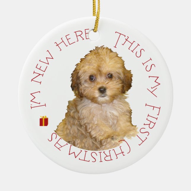 Cavachon Puppy First Christmas Ceramic Tree Decoration (Front)