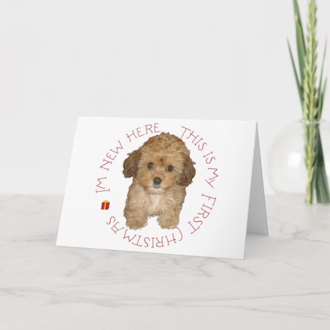 Cavachon Puppy First Christmas Holiday Card (Front)
