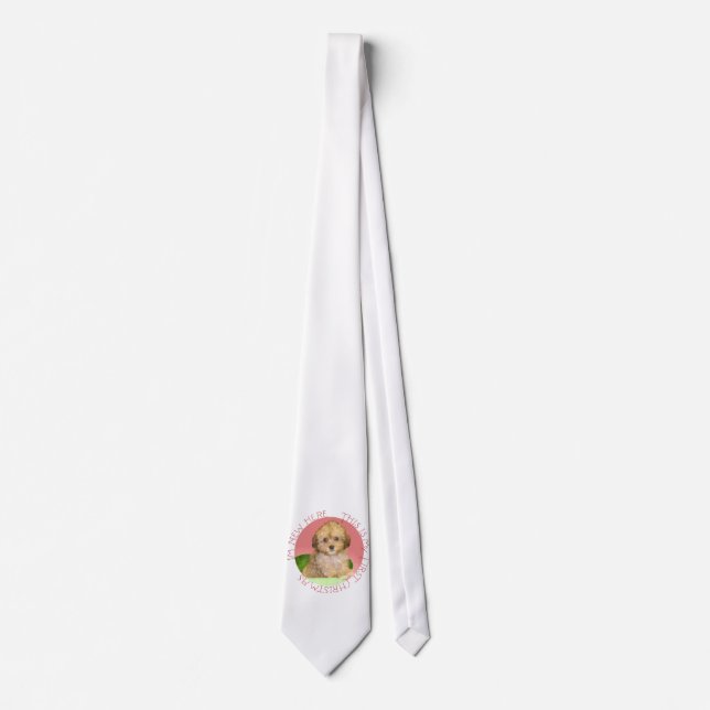 Cavachon Puppy First Christmas Tie (Front)