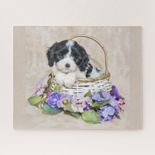 Cavachon Puppy in basket puzzle