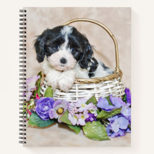 Cavachon Puppy in Basket Spiral Notebook