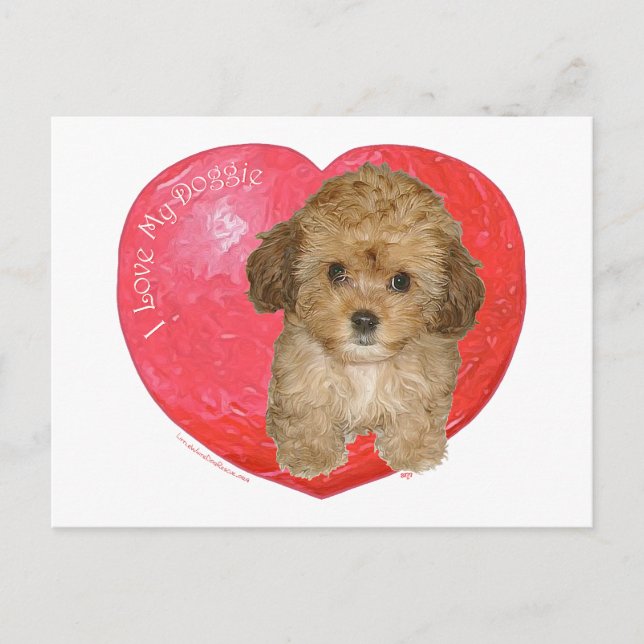 Cavachon Valentine Holiday Postcard (Front)