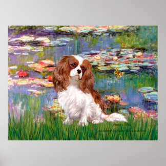 Cavalier 2 (blenheim) - Lilies 2 Poster