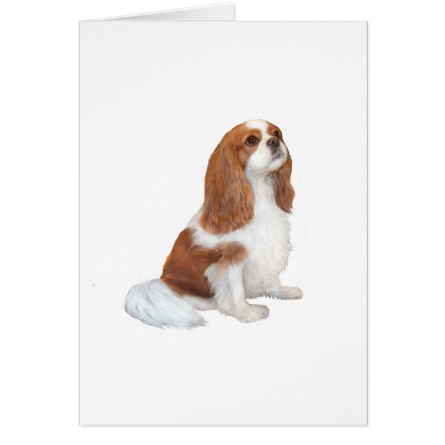 Cavalier A1 - Blenheim (F) (Front)