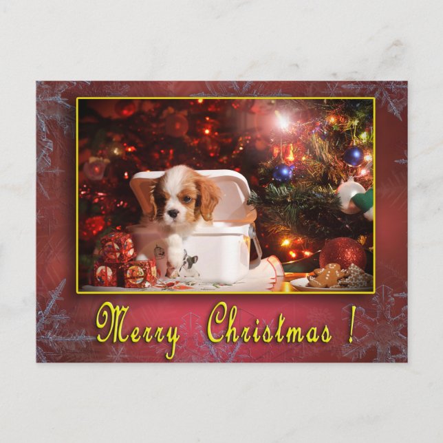 Cavalier Christmas card (Front)