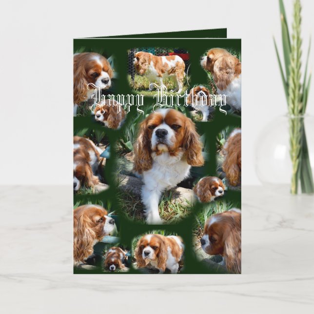 Cavalier Dog Photo Collage Happy Birthday, Card (Front)