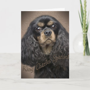 Cavalier King Charles Autumn and Friends Card