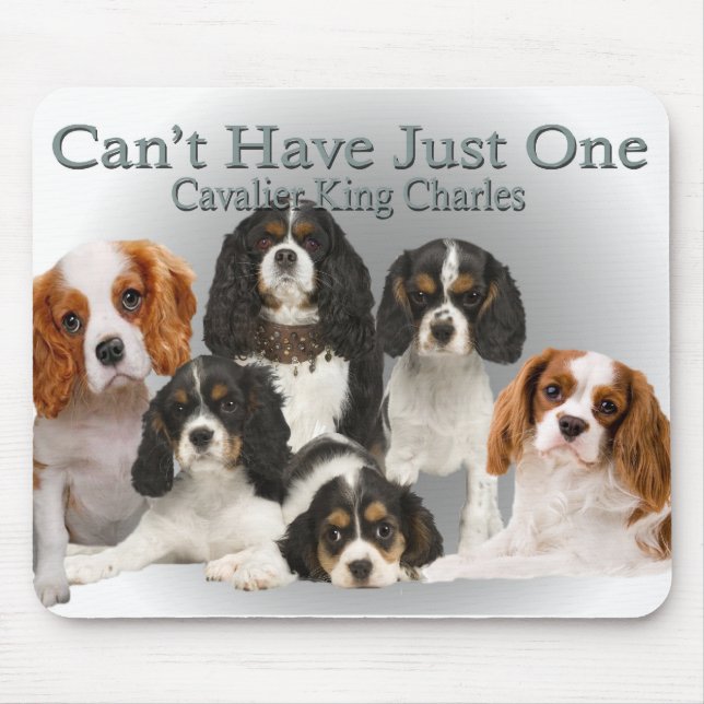 Cavalier King Charles Can't Have Just One gifts Mouse Mat (Front)