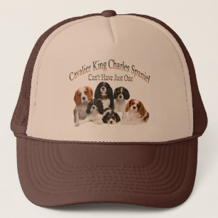 Cavalier King Charles Can't Have Just One Hat