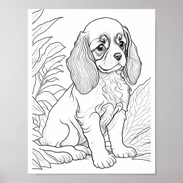 Cavalier King Charles Dog Adult Colouring Poster (Front)