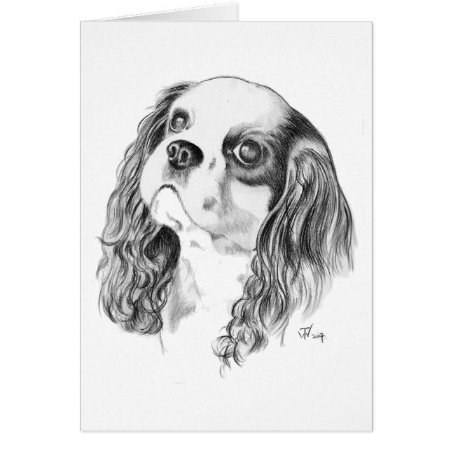 Cavalier King Charles Drawing (Front)