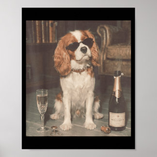 Cavalier King Charles Drinking Champagne Funny Poster