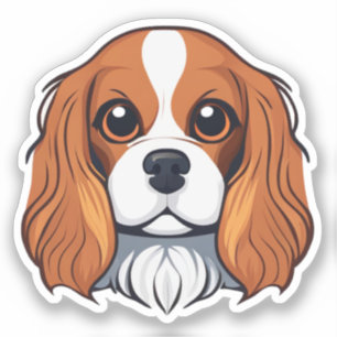 Cavalier king charles head