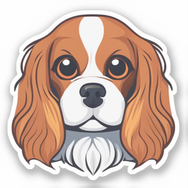 Cavalier king charles head (Front)