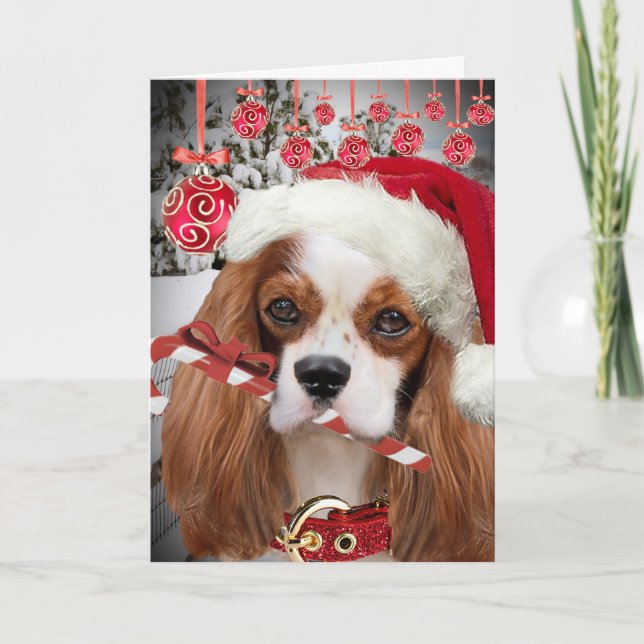 Cavalier King Charles Merry Christmas Cards (Front)