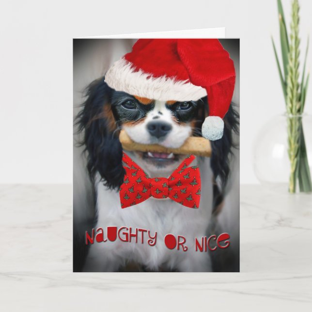 Cavalier King Charles Naughty or Nice Christmas Ca Holiday Card (Front)
