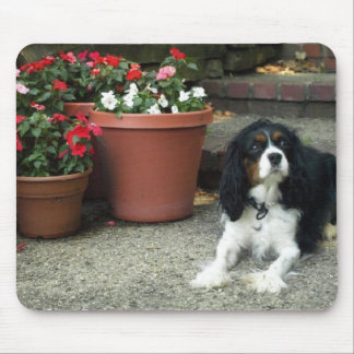 Cavalier King Charles Puppy Dog w/ Flowers Mouse Mat