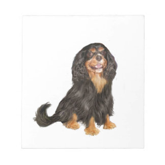 Cavalier King Charles (R) - Black and tan.png Notepad