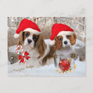 Cavalier King Charles Snow Scene Postcard