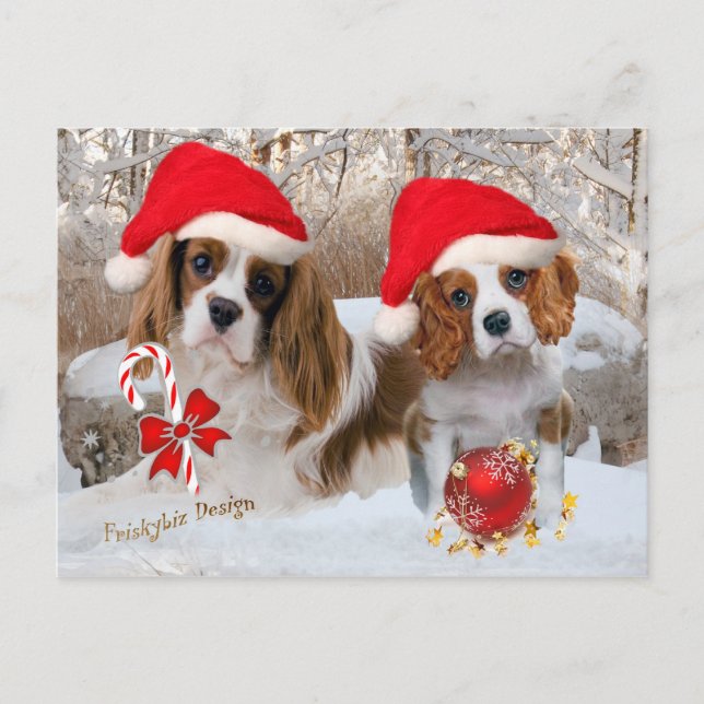 Cavalier King Charles Snow Scene Postcard (Front)