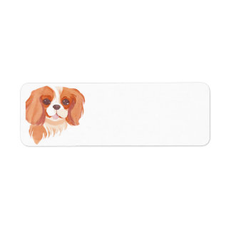 Cavalier King Charles Spaniel