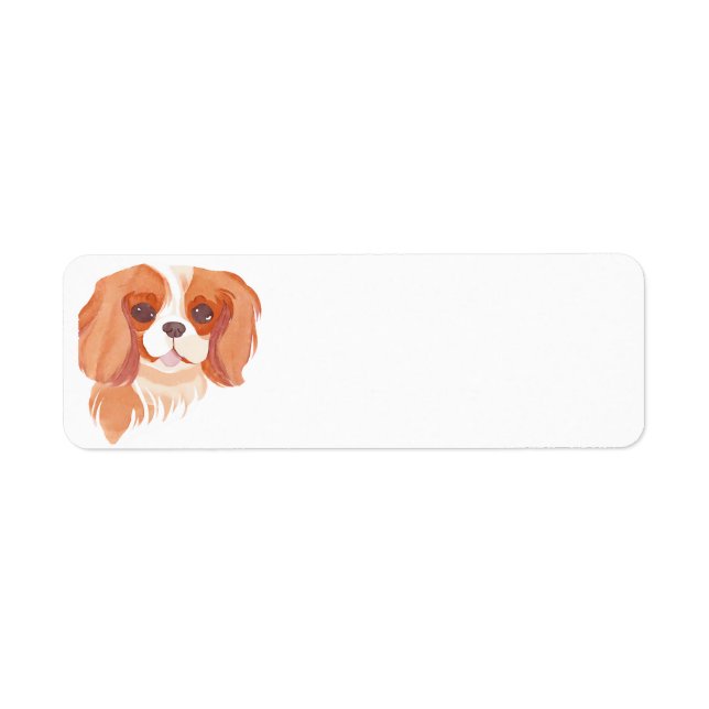 Cavalier King Charles Spaniel (Front)
