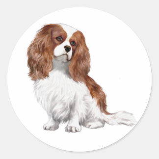 Cavalier King Charles Spaniel (A) - Blenheim 1 Classic Round Sticker