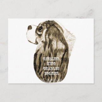 Cavalier King Charles Spaniel Antique Profile Postcard