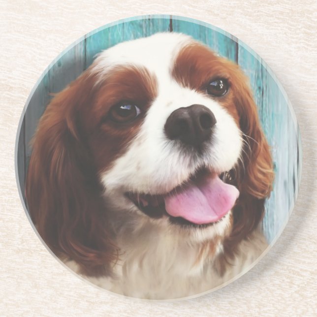 Cavalier King Charles Spaniel - Baxter Coaster (Front)
