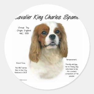 Cavalier King Charles Spaniel (Blenheim) History Classic Round Sticker
