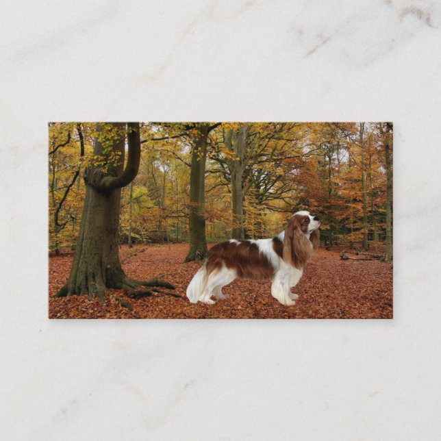 Cavalier King Charles Spaniel Breede Business Card (Front)