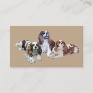 Cavalier King Charles Spaniel Breede Business Card