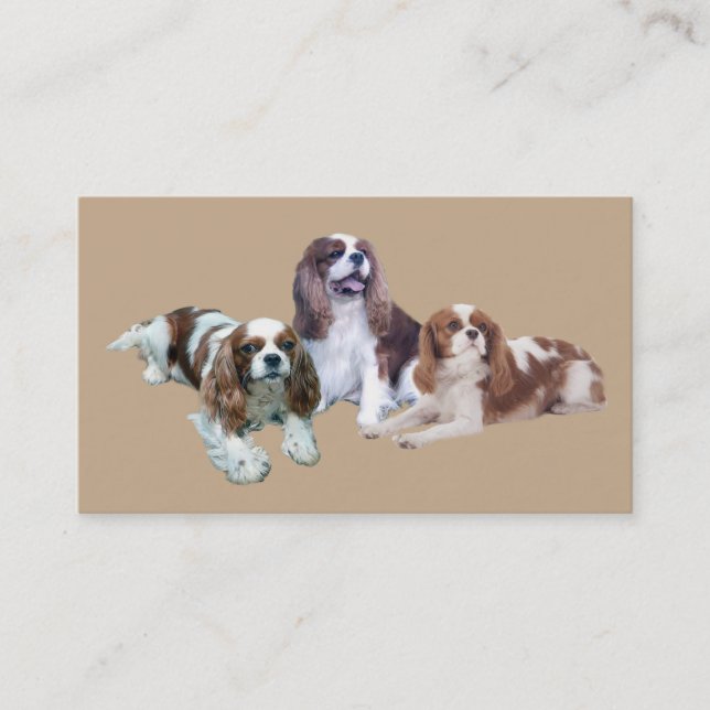 Cavalier King Charles Spaniel Breede Business Card (Front)