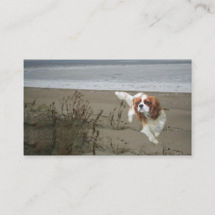 Cavalier King Charles Spaniel Breede Business Card